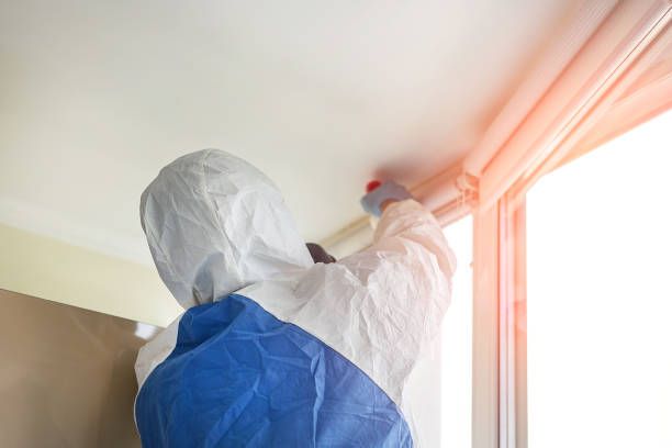 Best Commercial Mold Inspection in Hopewell, NJ