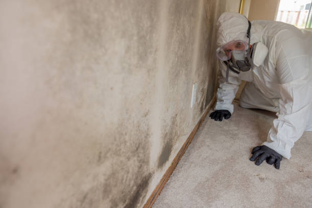 Best Forensic Mold Investigation in Hopewell, NJ